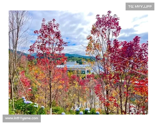 环村健康跑穿越东方年华景区，红枫摇曳与运动身影相映成趣